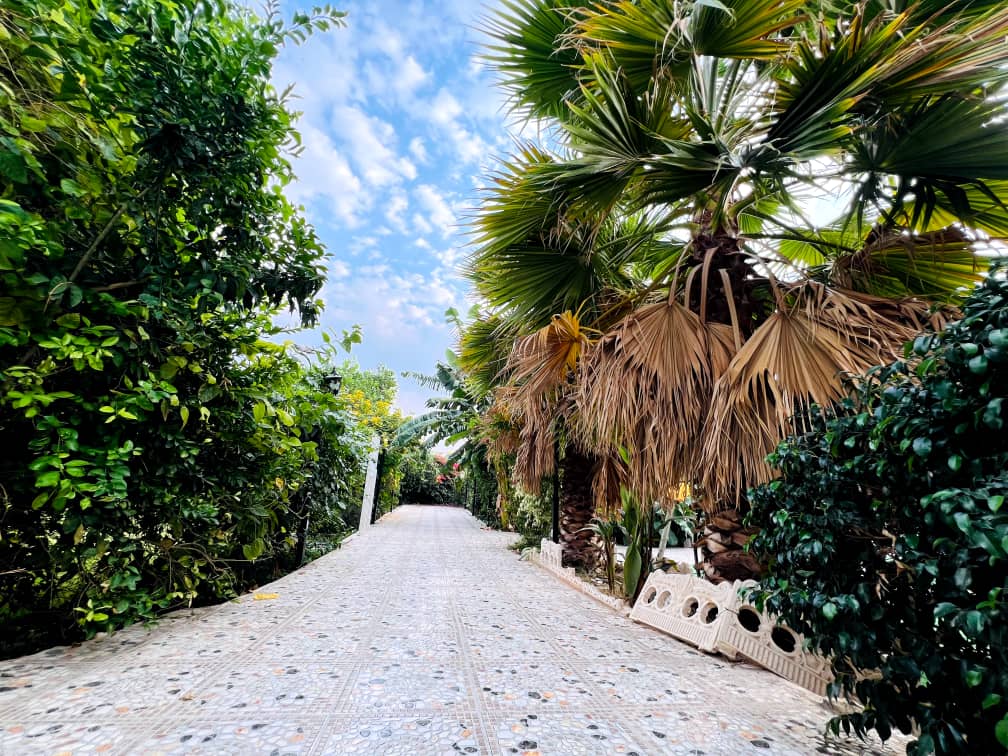 گالری تصاویر